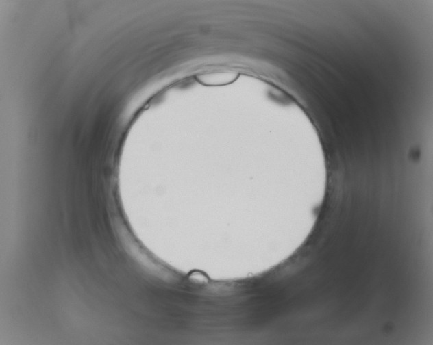 X0000113171523200910161255