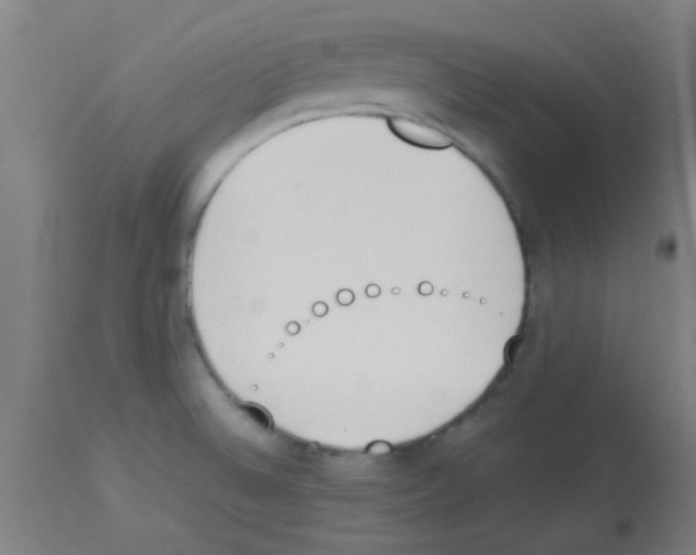 X0000113171524200910161255