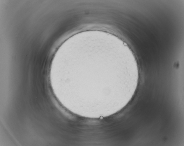X0000113171525200910161255