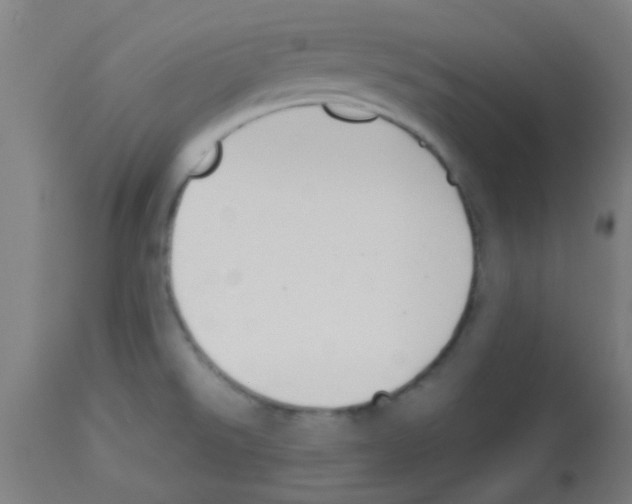 X0000113171526200910161255