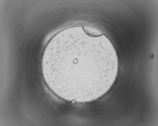 X0000113171527200910161255
