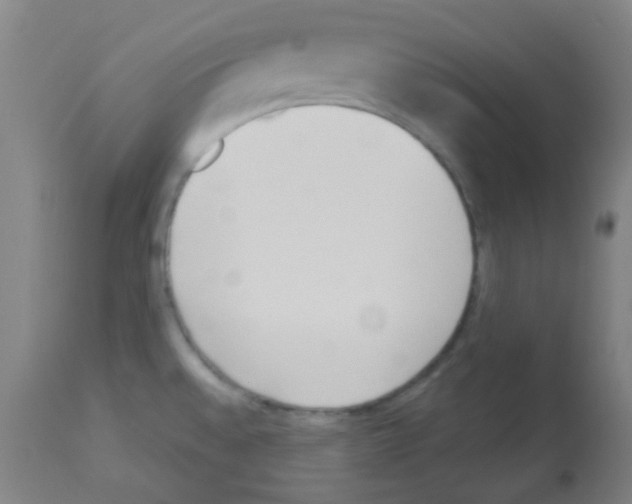 X0000113171528200910161255