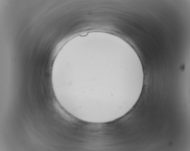 X0000113171532200910161256