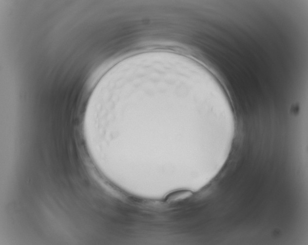 X0000113171533200910161256