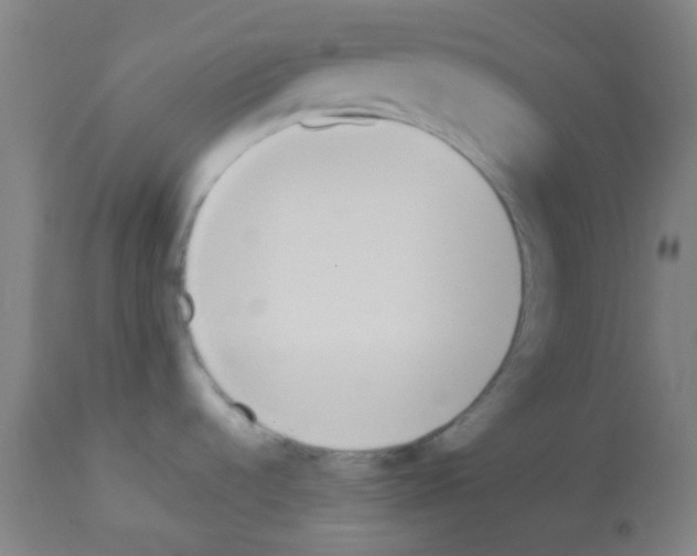 X0000113171536200910161256