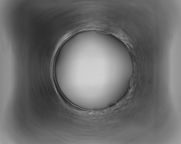 X0000113180003200909041003