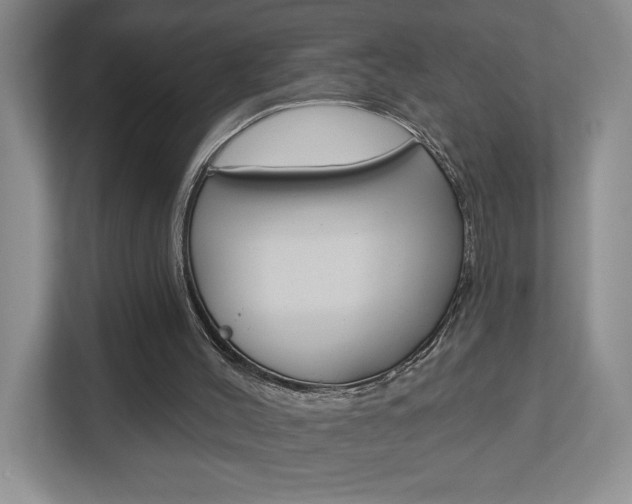 X0000113180004200909041003