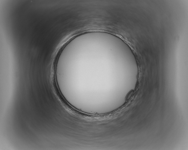 X0000113180005200909041003
