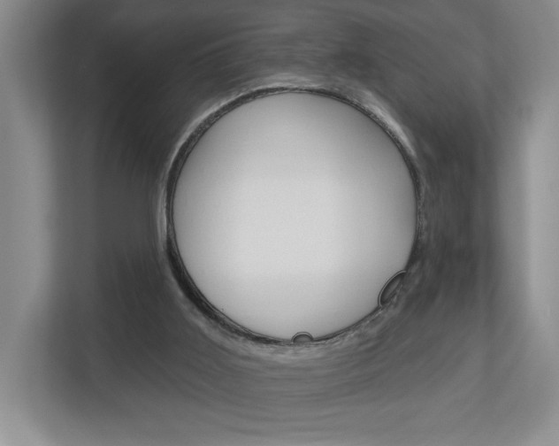 X0000113180011200909041003