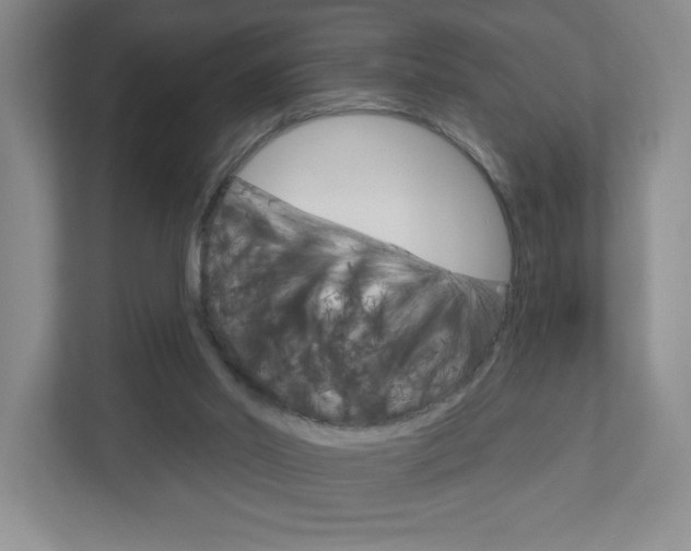 X0000113180014200909041003