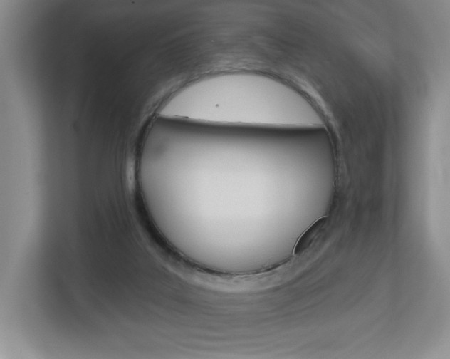 X0000113180019200909041003