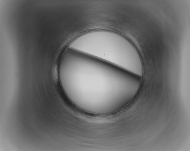 X0000113180020200909041003