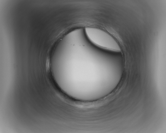 X0000113180021200909041003