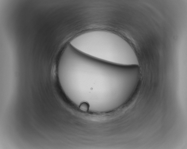 X0000113180024200909041003