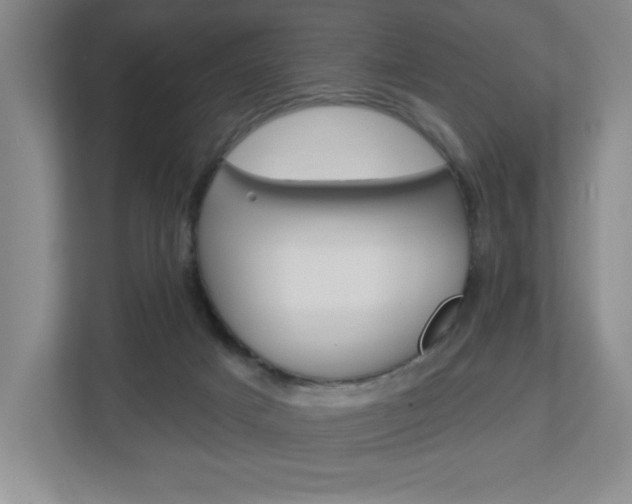 X0000113180025200909041003