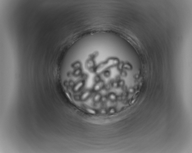 X0000113180029200909041003