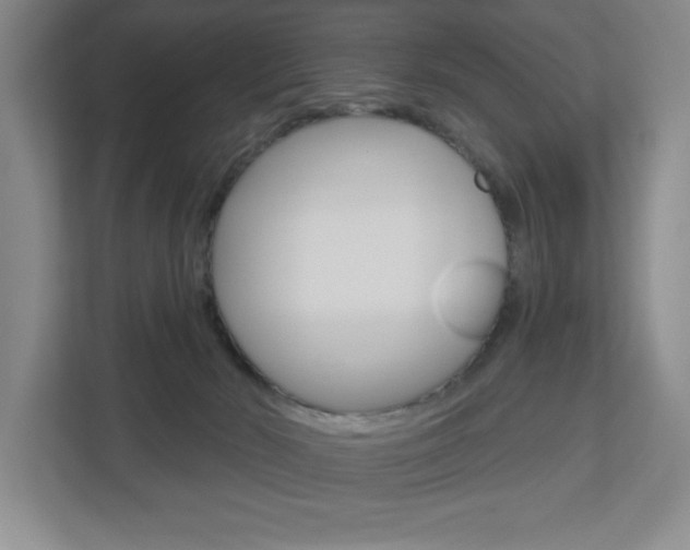 X0000113180030200909041003