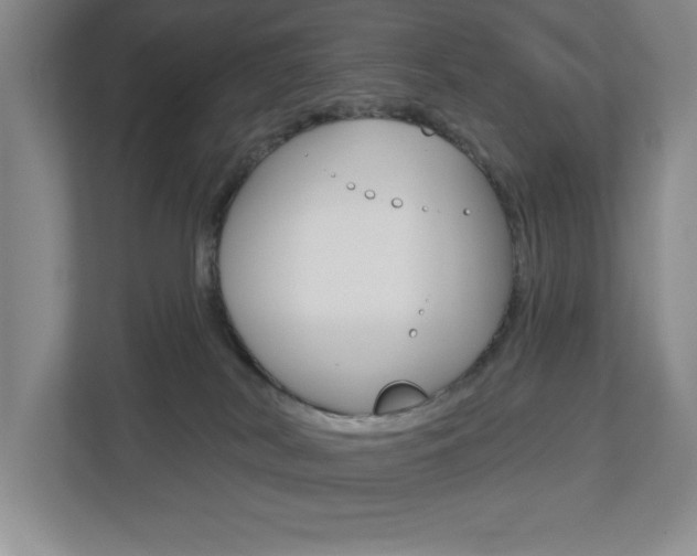 X0000113180038200909041003