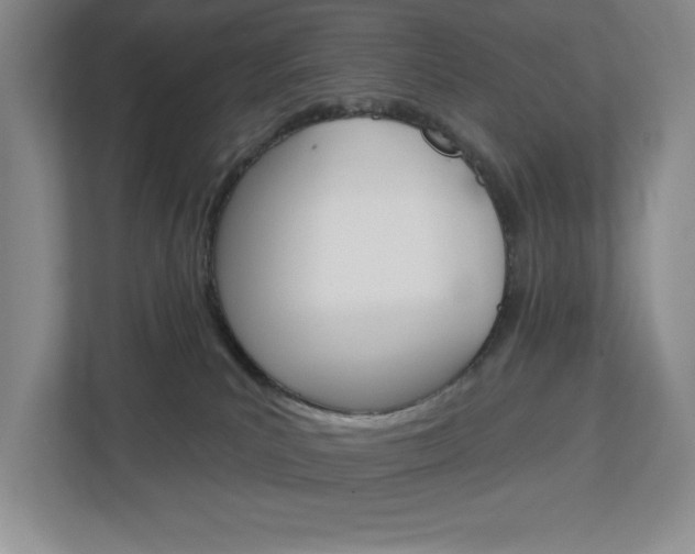 X0000113180039200909041003