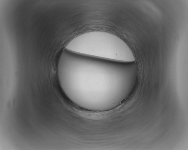 X0000113180040200909041003