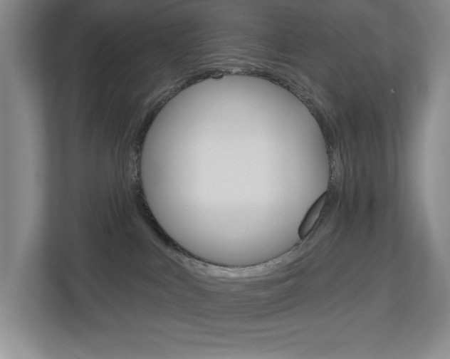X0000113180043200909041003