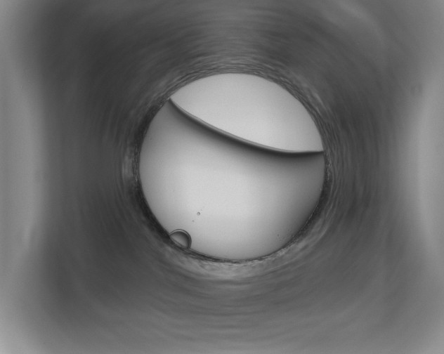 X0000113180044200909041003