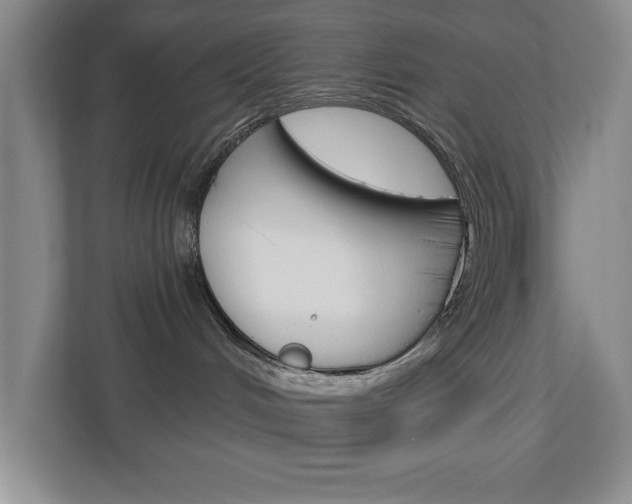 X0000113180048200909041003