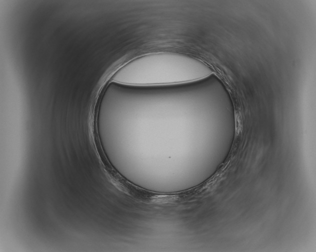 X0000113180051200909041002