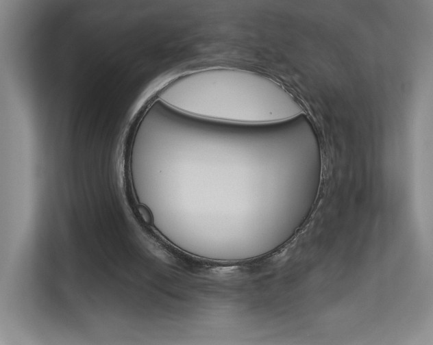 X0000113180054200909041002