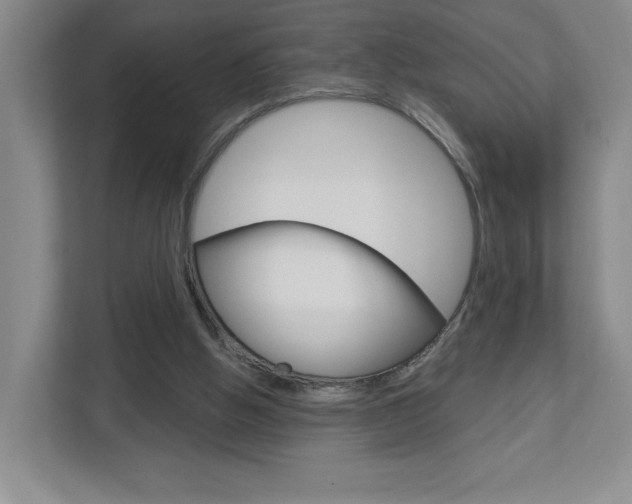X0000113180058200909041002