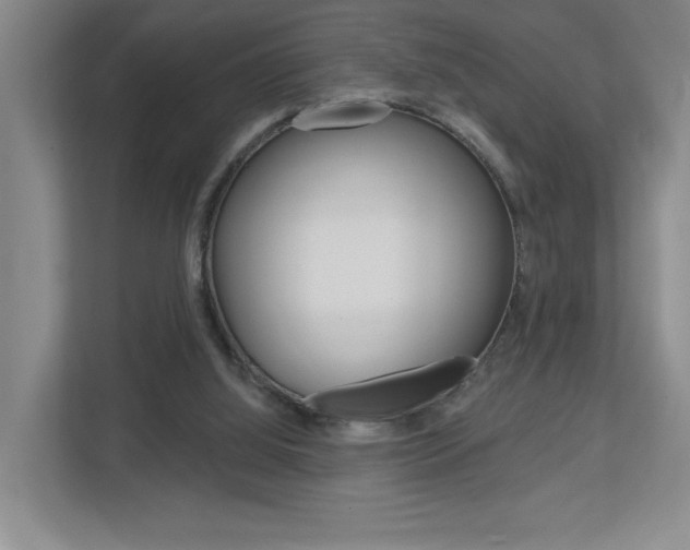 X0000113180060200909041002