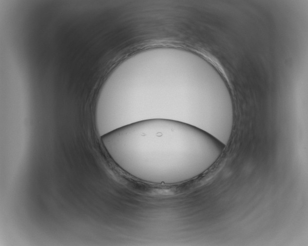 X0000113180061200909041002