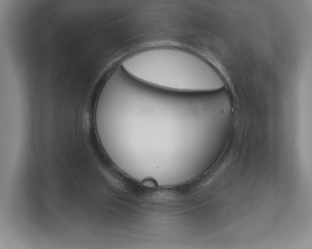 X0000113180063200909041002