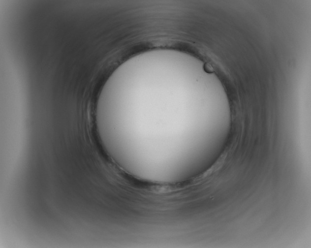 X0000113180074200909041003