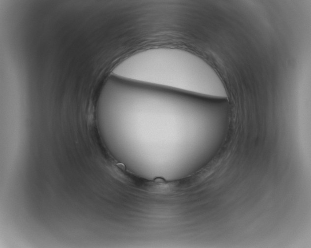 X0000113180081200909041003