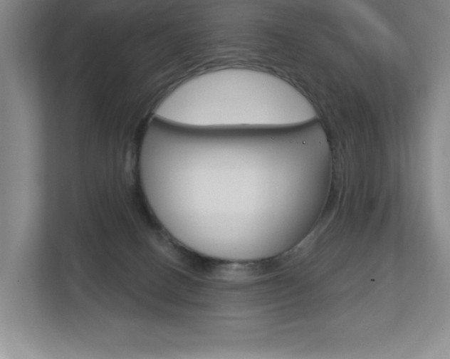 X0000113180082200909041003