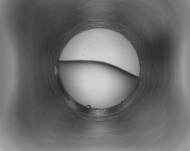 X0000113180089200909041003