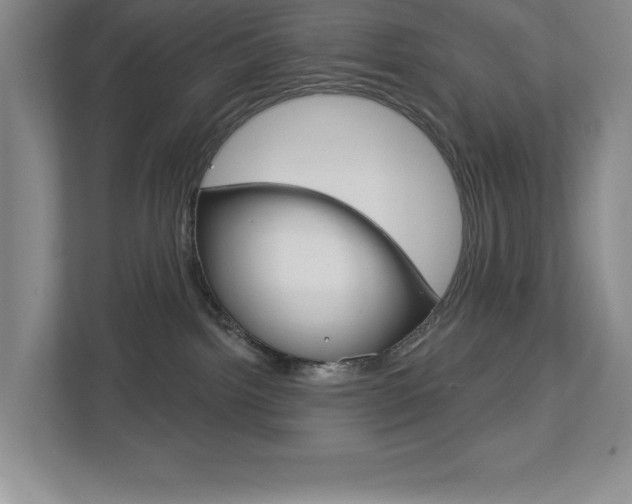 X0000113180092200909041003