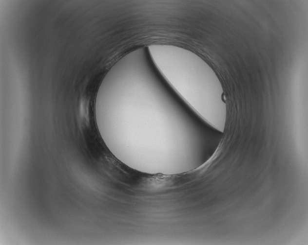 X0000113180094200909041003