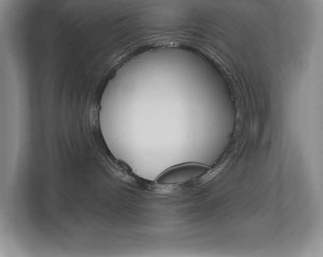 X0000113180096200909041003