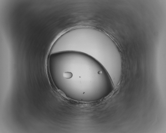 X0000113180100200909041002