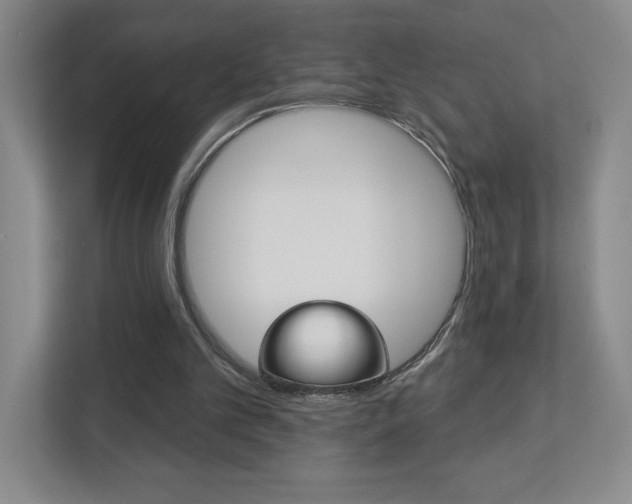 X0000113180101200909041002
