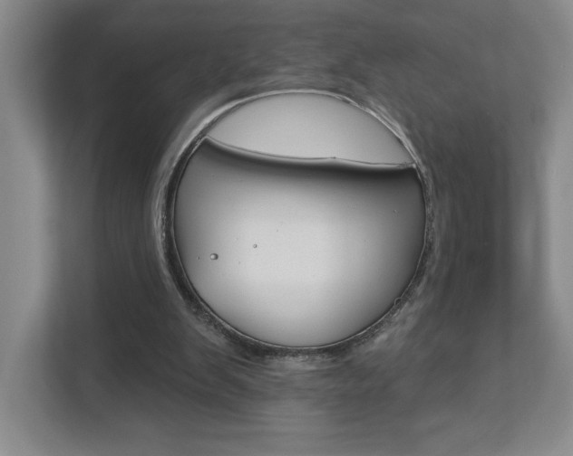 X0000113180103200909041002