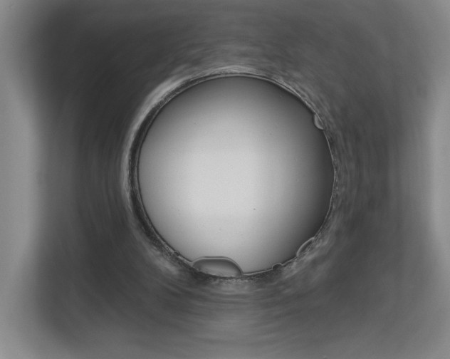 X0000113180104200909041002
