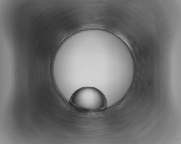 X0000113180109200909041002