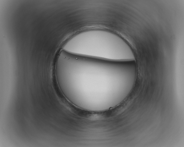 X0000113180111200909041002
