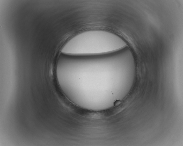 X0000113180115200909041002