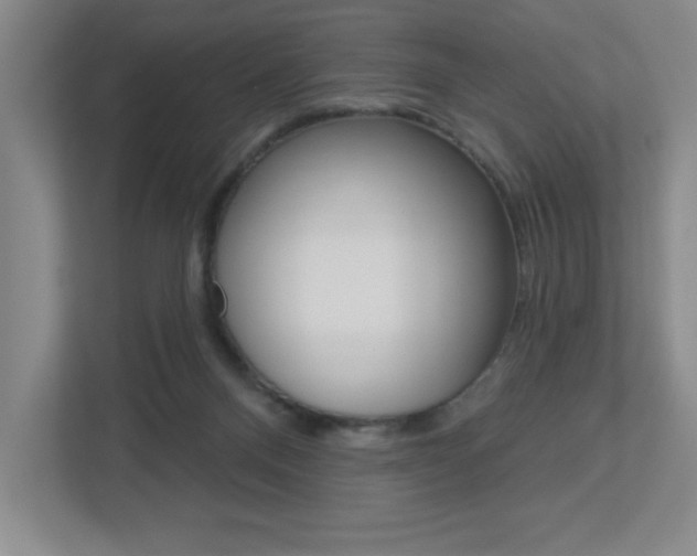 X0000113180120200909041002
