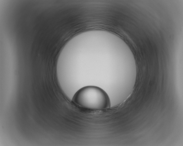 X0000113180124200909041002