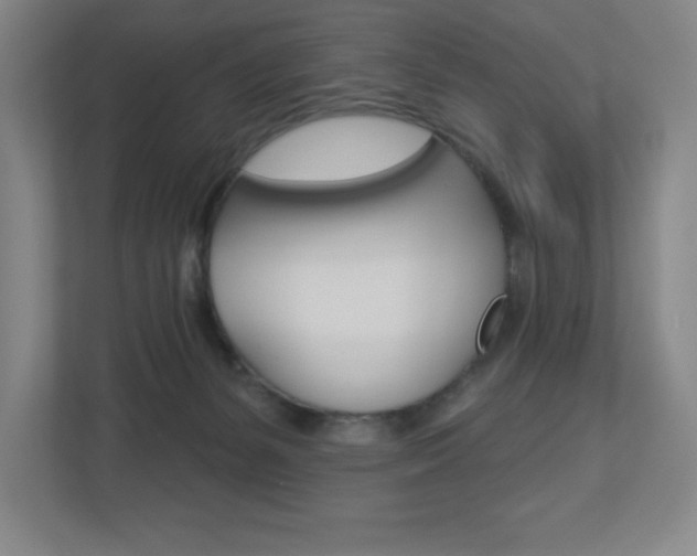 X0000113180127200909041002